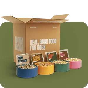 Nom Nom Dog Food Review (Fresh) image